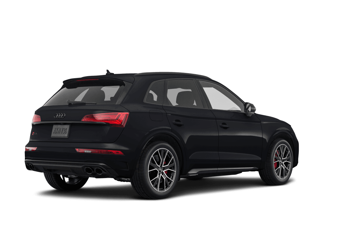 Audi SQ5 - Back view Audi SQ5 - Back view